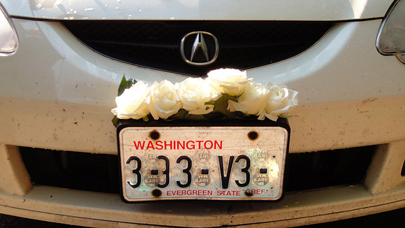 Birman_Wedding-8