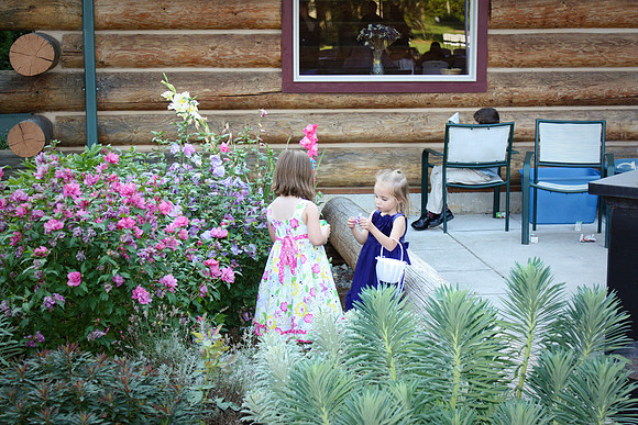 Birman_Wedding-65