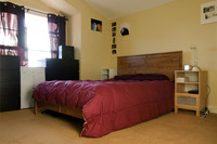 Rental