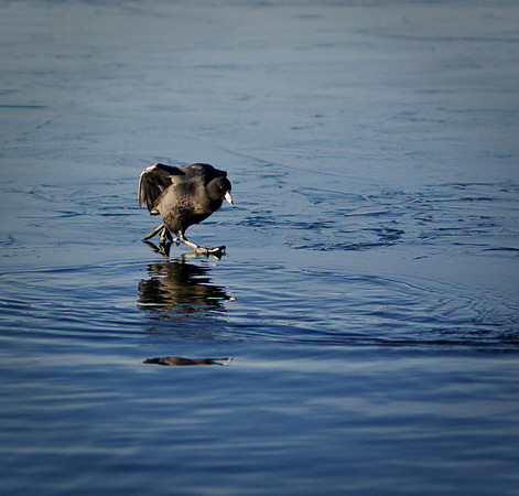 On Thin Ice