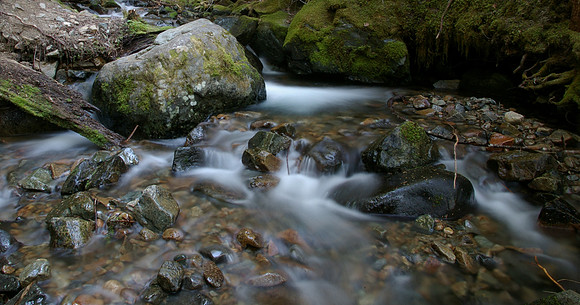 Washington state