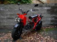 ruckus