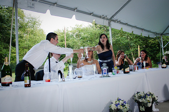 Birman_Wedding-119