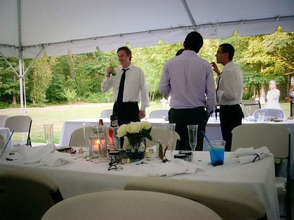 Birman_Wedding-49