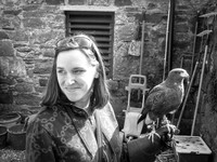 Ireland Falconry 2012