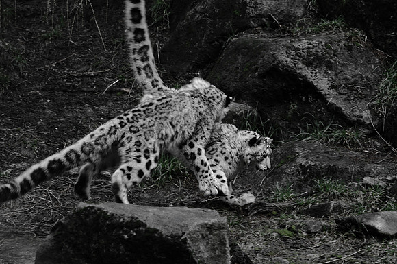 Play time