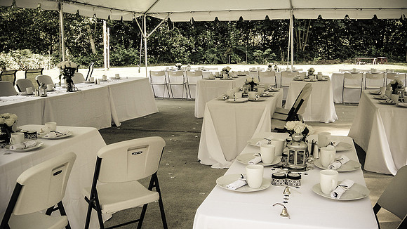 Birman_Wedding-2